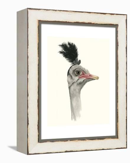 Downton Animals III-Grace Popp-Framed Stretched Canvas