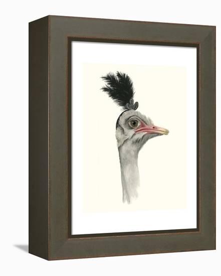 Downton Animals III-Grace Popp-Framed Stretched Canvas