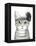 Downton Cat III-Grace Popp-Framed Stretched Canvas