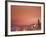 Downtown and Qwest Field, Seattle, King County, Washington, USA-Brent Bergherm-Framed Photographic Print