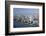 Downtown Bangkok Skyline View with Chao Phraya River, Thailand-Cindy Miller Hopkins-Framed Photographic Print