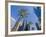 Downtown, Bonaventure Hotel in Background, Los Angeles, California, USA-Ethel Davies-Framed Photographic Print