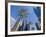 Downtown, Bonaventure Hotel in Background, Los Angeles, California, USA-Ethel Davies-Framed Photographic Print