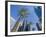 Downtown, Bonaventure Hotel in Background, Los Angeles, California, USA-Ethel Davies-Framed Photographic Print