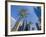 Downtown, Bonaventure Hotel in Background, Los Angeles, California, USA-Ethel Davies-Framed Photographic Print