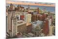 Premium Giclee Print