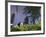 Downtown Houston, Texas, USA-Walter Bibikow-Framed Photographic Print