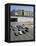 Downtown, Main Thoroughfare and Shopping Mall, Brasilia, Brazil, South America-Geoff Renner-Framed Premier Image Canvas