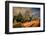 Downtown of Los Angeles at Night-sborisov-Framed Photographic Print