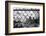 Downtown on the Rocks-Evan Morris Cohen-Framed Photographic Print