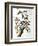 Downy Woodpecker, from "Birds of America"-John James Audubon-Framed Giclee Print