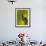Downy Woodpecker-Adam Jones-Framed Photographic Print displayed on a wall