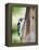 Downy Woodpecker-Gary Carter-Framed Premier Image Canvas