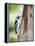 Downy Woodpecker-Gary Carter-Framed Premier Image Canvas