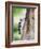 Downy Woodpecker-Gary Carter-Framed Photographic Print