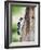 Downy Woodpecker-Gary Carter-Framed Photographic Print