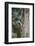 Downy Woodpecker-Gary Carter-Framed Photographic Print