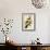 Downy Woodpecker-John James Audubon-Framed Art Print displayed on a wall