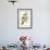 Downy Woodpecker-John James Audubon-Framed Premium Giclee Print displayed on a wall