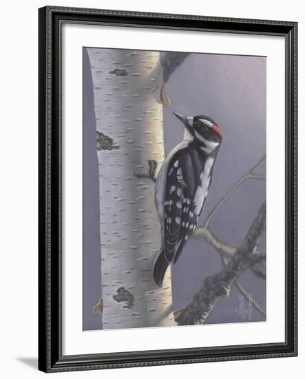 Downy-Jeffrey Hoff-Framed Photographic Print