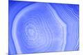 Premium Photographic Print