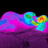 Thermogram of Feet-Dr. Arthur Tucker-Laminated Photographic Print