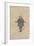Dr Blimber, c.1920s-Joseph Clayton Clarke-Framed Giclee Print