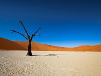 Dead Vlei - Sossusvlei, Namib Desert, Namibia-DR_Flash-Photographic Print