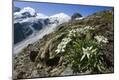Premium Photographic Print