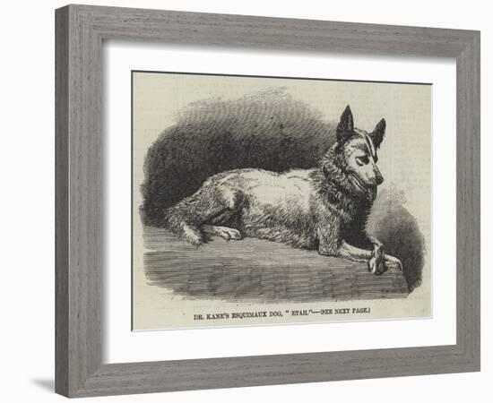 Dr Kane's Esquimaux Dog, Etah-null-Framed Giclee Print