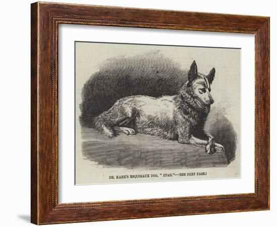 Dr Kane's Esquimaux Dog, Etah-null-Framed Giclee Print