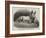 Dr Kane's Esquimaux Dog, Etah-null-Framed Giclee Print