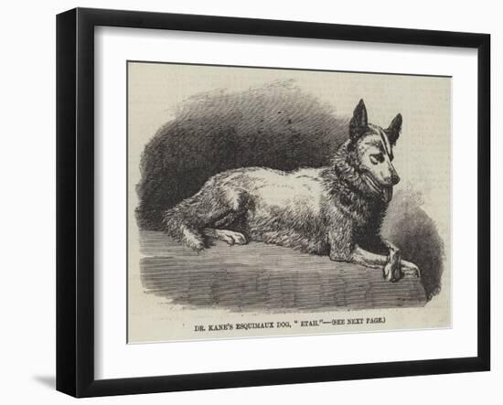 Dr Kane's Esquimaux Dog, Etah-null-Framed Giclee Print