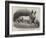 Dr Kane's Esquimaux Dog, Etah-null-Framed Giclee Print