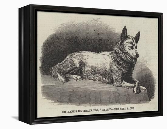 Dr Kane's Esquimaux Dog, Etah-null-Framed Premier Image Canvas