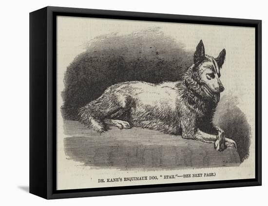 Dr Kane's Esquimaux Dog, Etah-null-Framed Premier Image Canvas