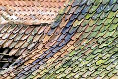 Old Tiled Roof-Dr. Keith Wheeler-Framed Premier Image Canvas