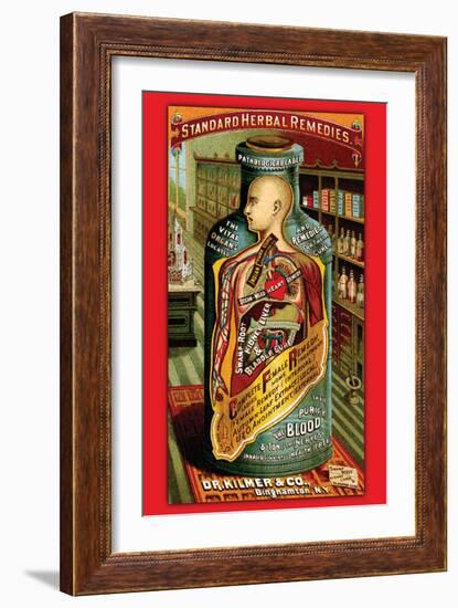 Dr. Kilmer's Standard Herbal Remedies-null-Framed Art Print