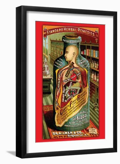 Dr. Kilmer's Standard Herbal Remedies-null-Framed Art Print