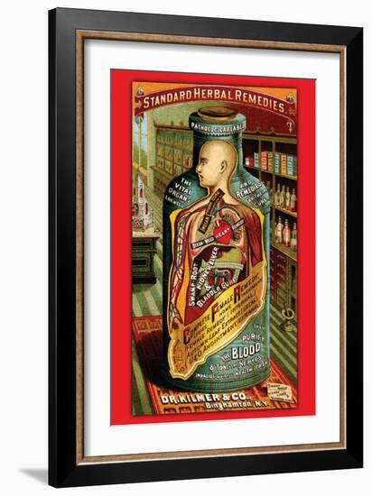 Dr. Kilmer's Standard Herbal Remedies-null-Framed Art Print