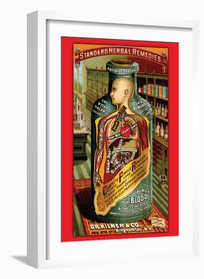 Dr. Kilmer's Standard Herbal Remedies-null-Framed Art Print