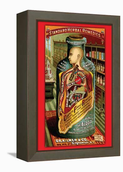 Dr. Kilmer's Standard Herbal Remedies-null-Framed Stretched Canvas