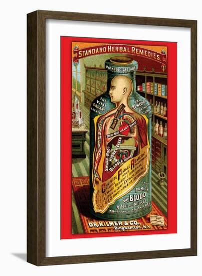 Dr. Kilmer's Standard Herbal Remedies-null-Framed Art Print