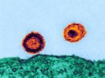 H5N1 Avian Influenza Virus Particles, TEM-Dr. Klaus Boller-Framed Premier Image Canvas