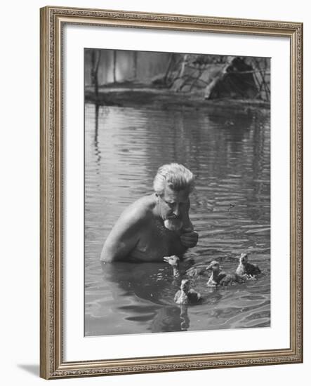 Dr. Konrad Lorenz, Viennese Animal Behaviorist, Surrounded by Family of Graylag Goslings-Thomas D^ Mcavoy-Framed Premium Photographic Print