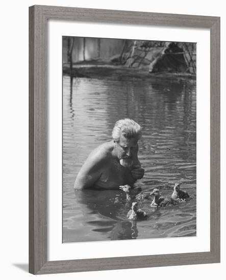 Dr. Konrad Lorenz, Viennese Animal Behaviorist, Surrounded by Family of Graylag Goslings-Thomas D^ Mcavoy-Framed Premium Photographic Print