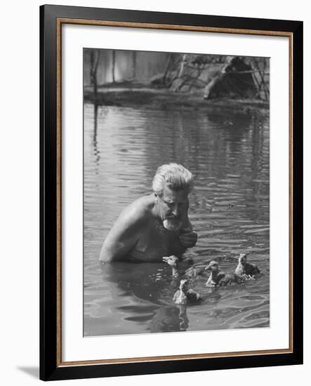 Dr. Konrad Lorenz, Viennese Animal Behaviorist, Surrounded by Family of Graylag Goslings-Thomas D^ Mcavoy-Framed Premium Photographic Print