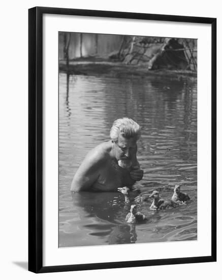 Dr. Konrad Lorenz, Viennese Animal Behaviorist, Surrounded by Family of Graylag Goslings-Thomas D^ Mcavoy-Framed Premium Photographic Print