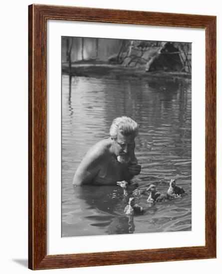 Dr. Konrad Lorenz, Viennese Animal Behaviorist, Surrounded by Family of Graylag Goslings-Thomas D^ Mcavoy-Framed Premium Photographic Print