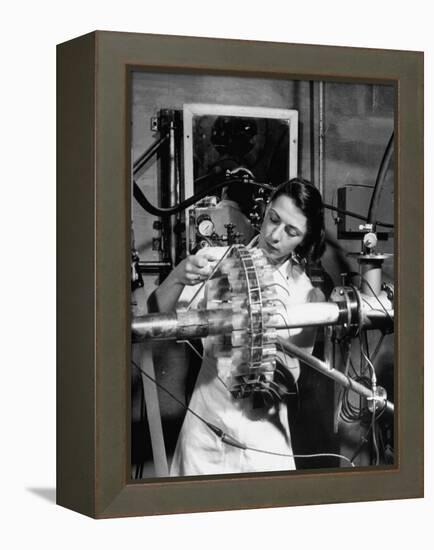 Dr. Liane Russell Studying Effects of Radiation on Mouse Genetics at Oak Ridge National Laboratory-null-Framed Premier Image Canvas